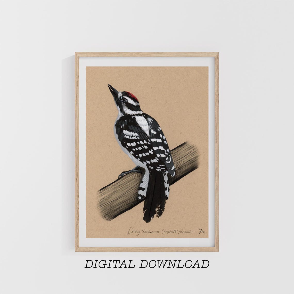 Downy Woodpecker on Kraft Paper Vintage Style Bird Art Poster