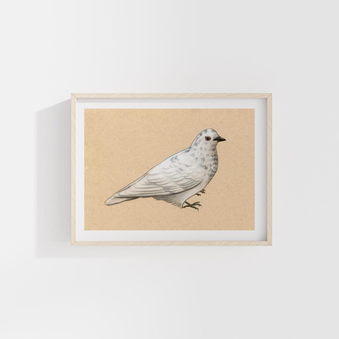 White Pigeon Watercolor on Kraft Paper Bird Illustration Poster