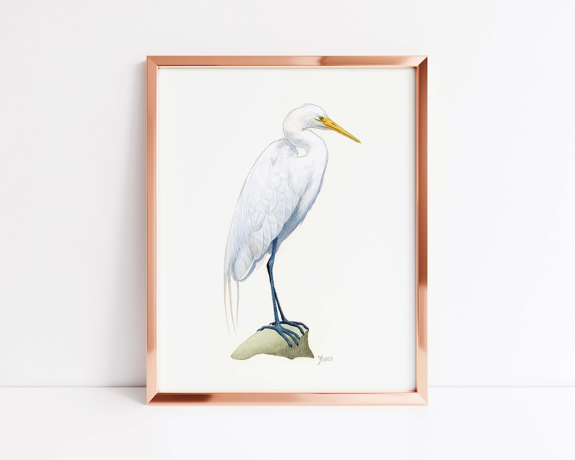 Great Egret Watercolor Portrait Standing on Stone Bird Poster