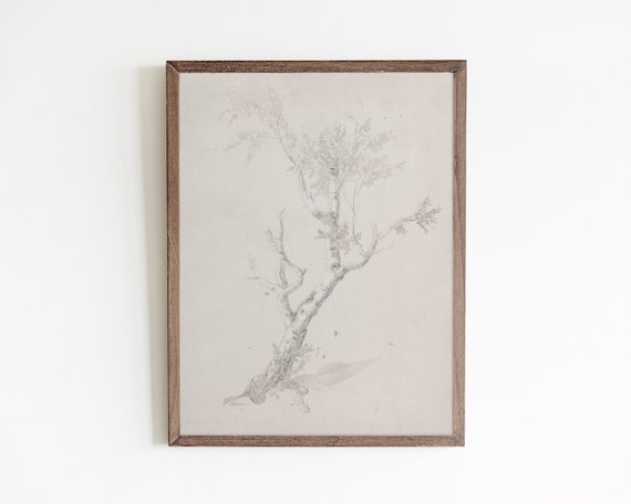Tree Sketch Wall Art Vintage Nature Painting Neutral Farmhouse Art