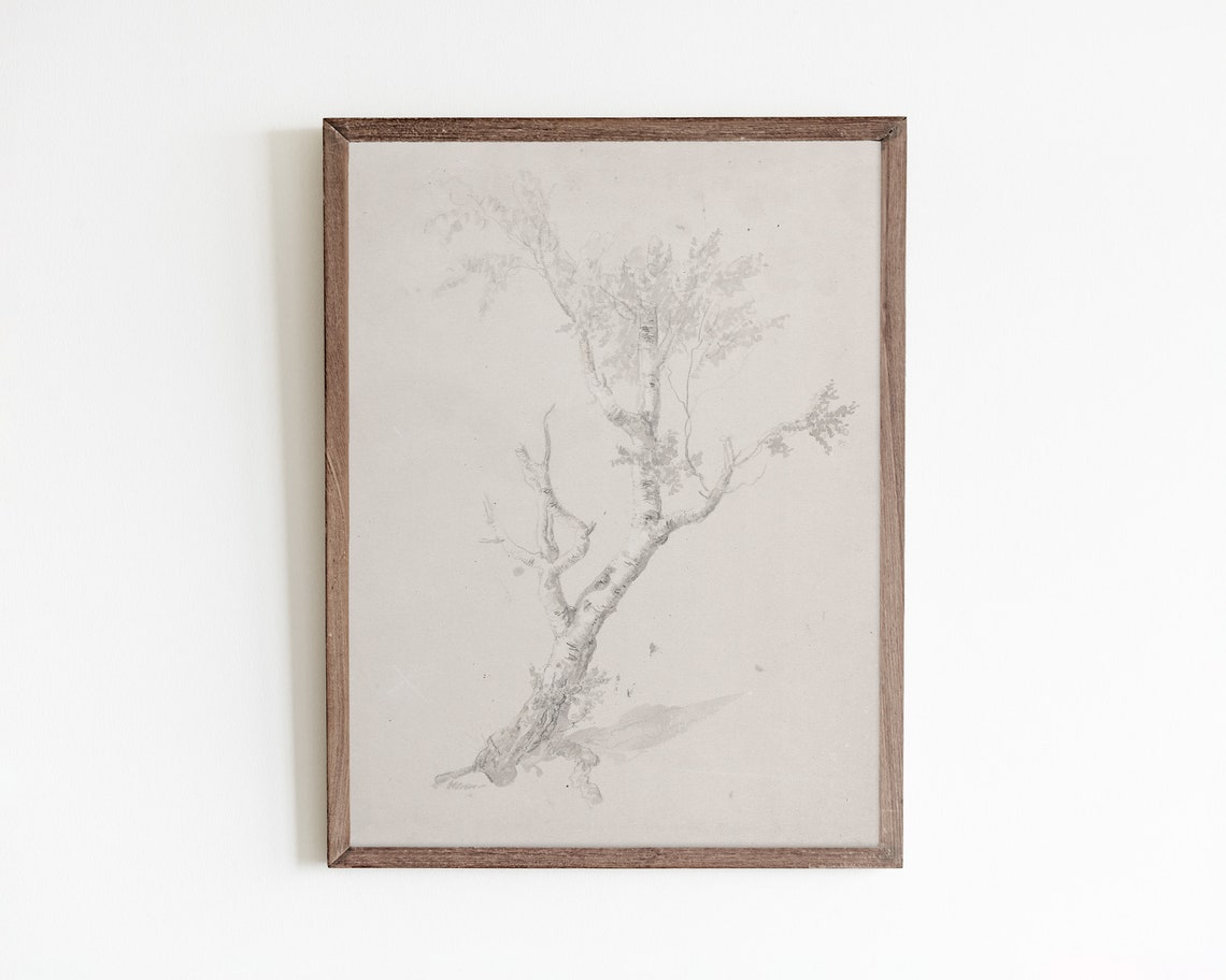 Tree Sketch Wall Art Vintage Nature Painting Neutral Farmhouse Art