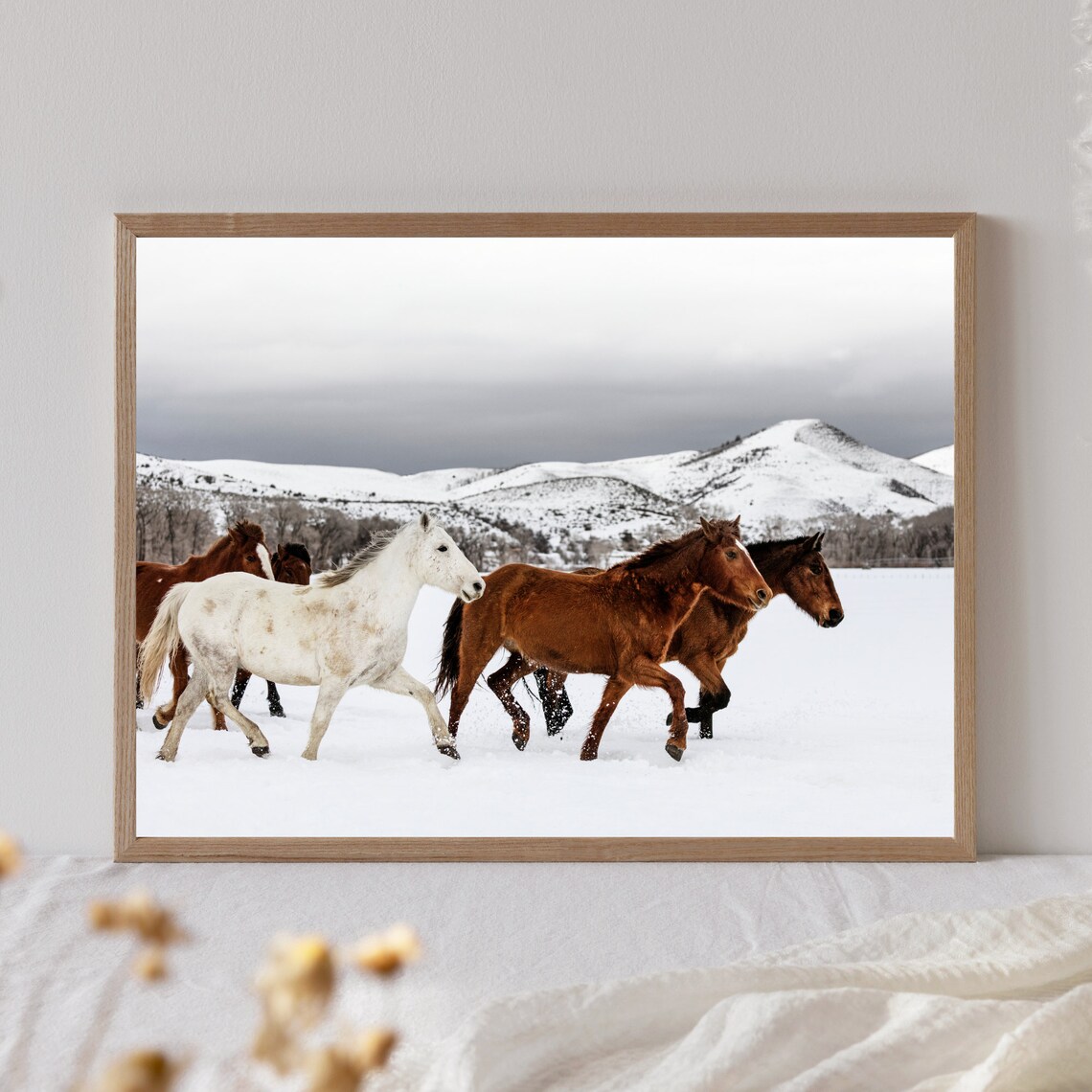 Horse Photography in Snowy Mountains, Winter Art Print