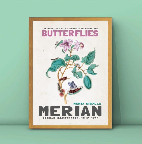 Maria Sibylla Merian The Rocu Tree With Caterpillars Moths And Butterflies Print Butterflies Painting Vintage Tree Poster