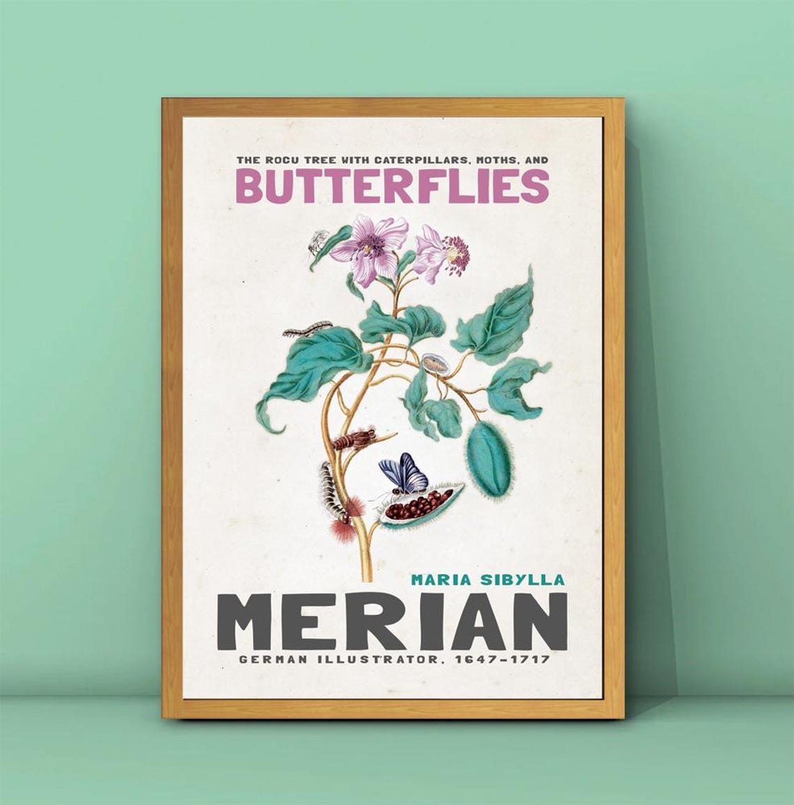 Maria Sibylla Merian Rocu Tree Butterflies Botanical Art Poster