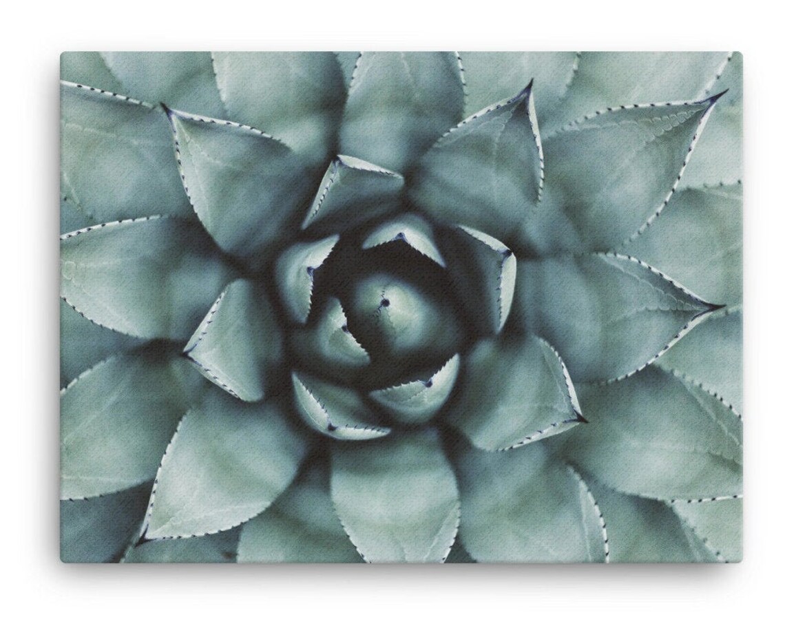 Pretty Succulent Garden Wall Decor, Tropical Print