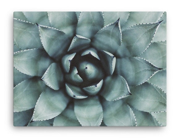 Pretty Succulent Garden Wall Decor, Tropical Print