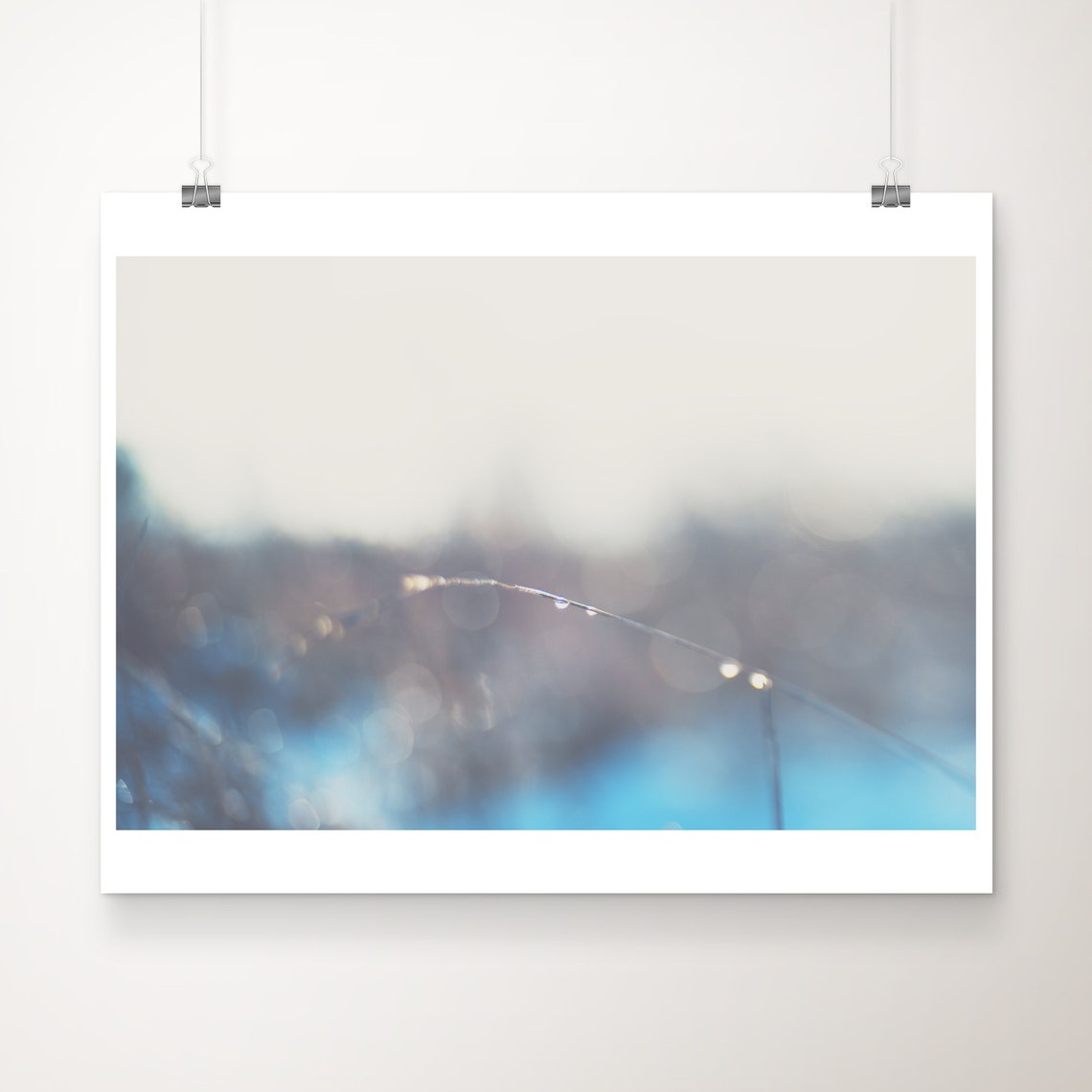 Morning Dew Botanical Print Macro Nature Photography Purple Decor