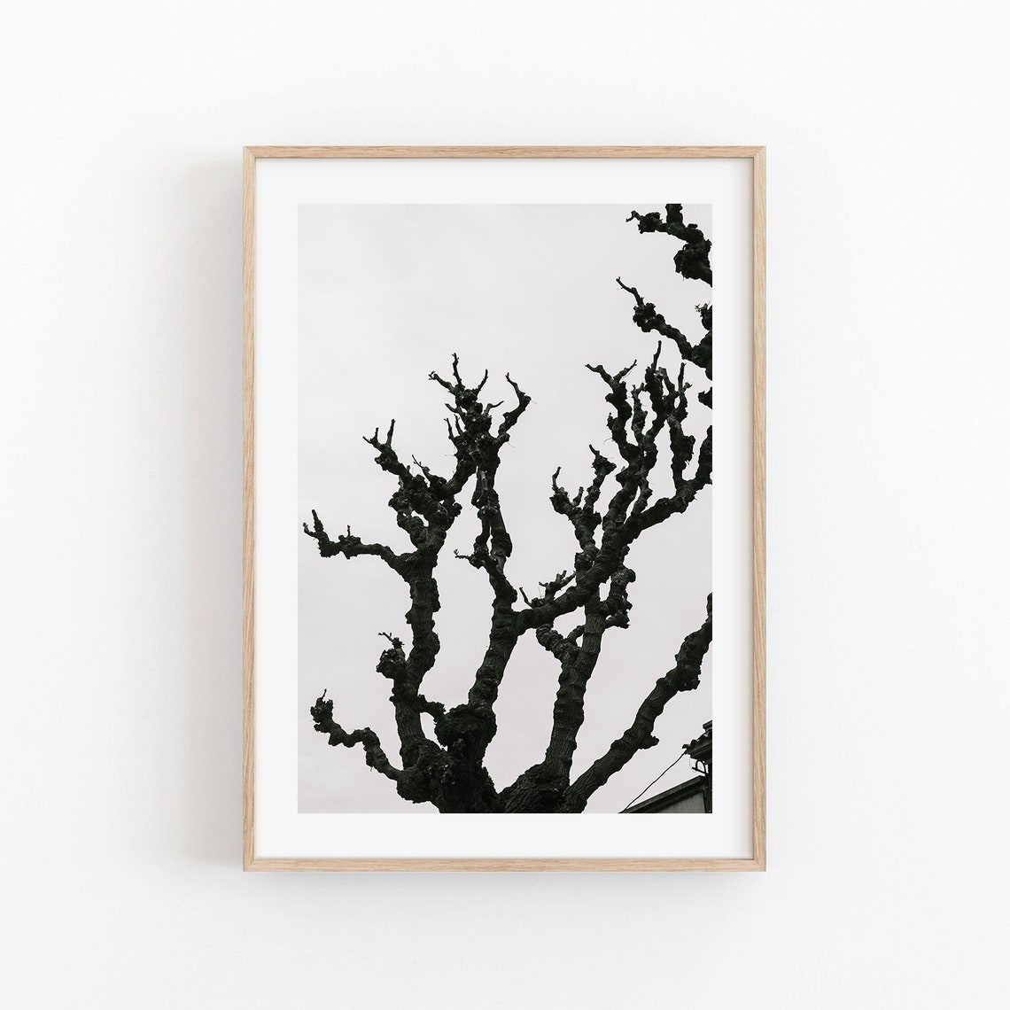 Bare Gnarled Tree Branches Minimalist Black And White Photo Poster
