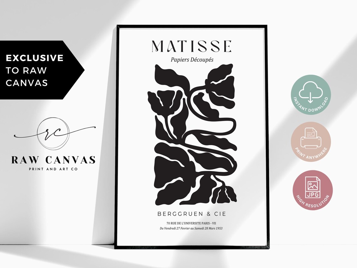 Matisse Inspired Black White Modern Abstract Botanical