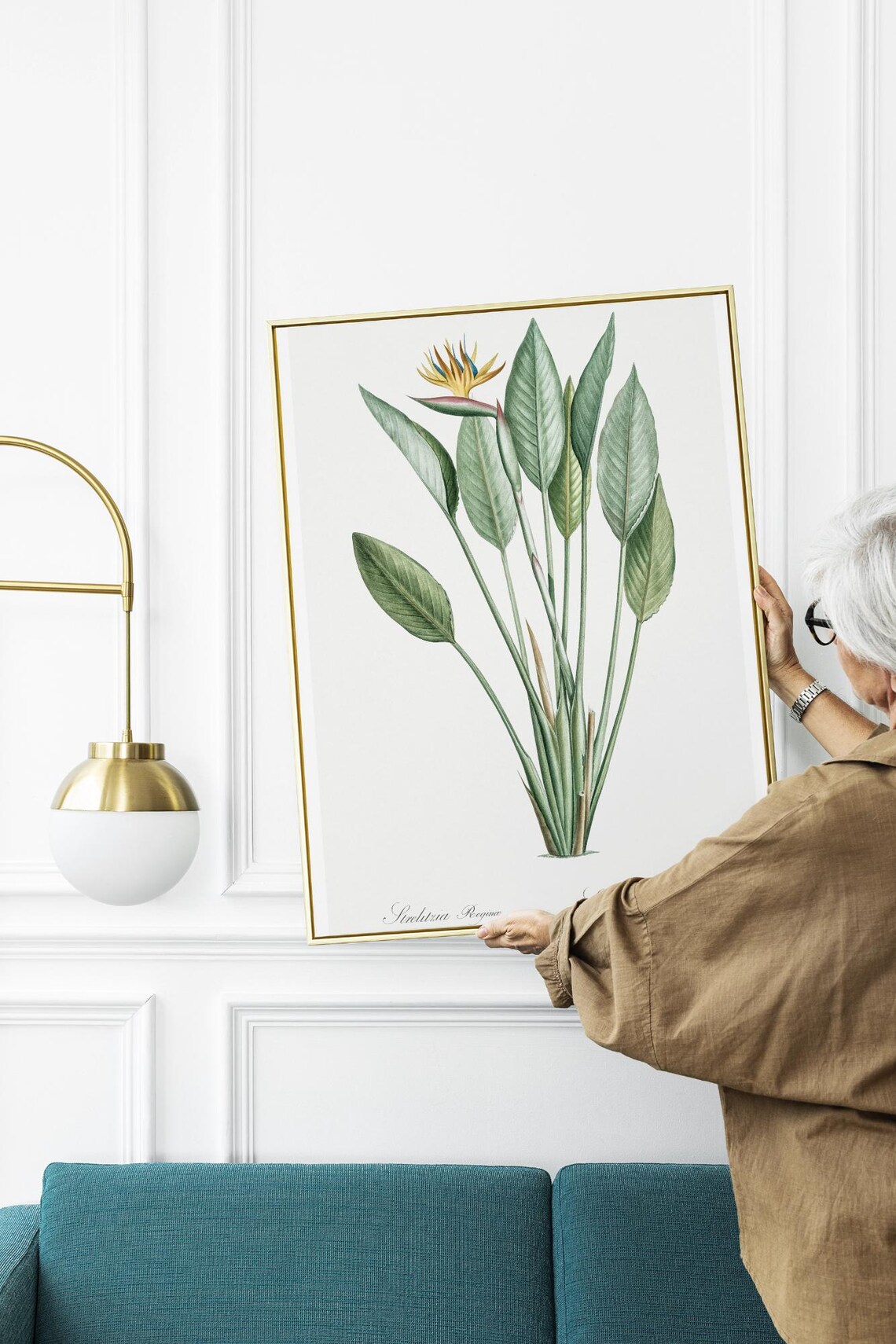 Vintage Bird Of Paradise Botanical Art, Redout - Image 5