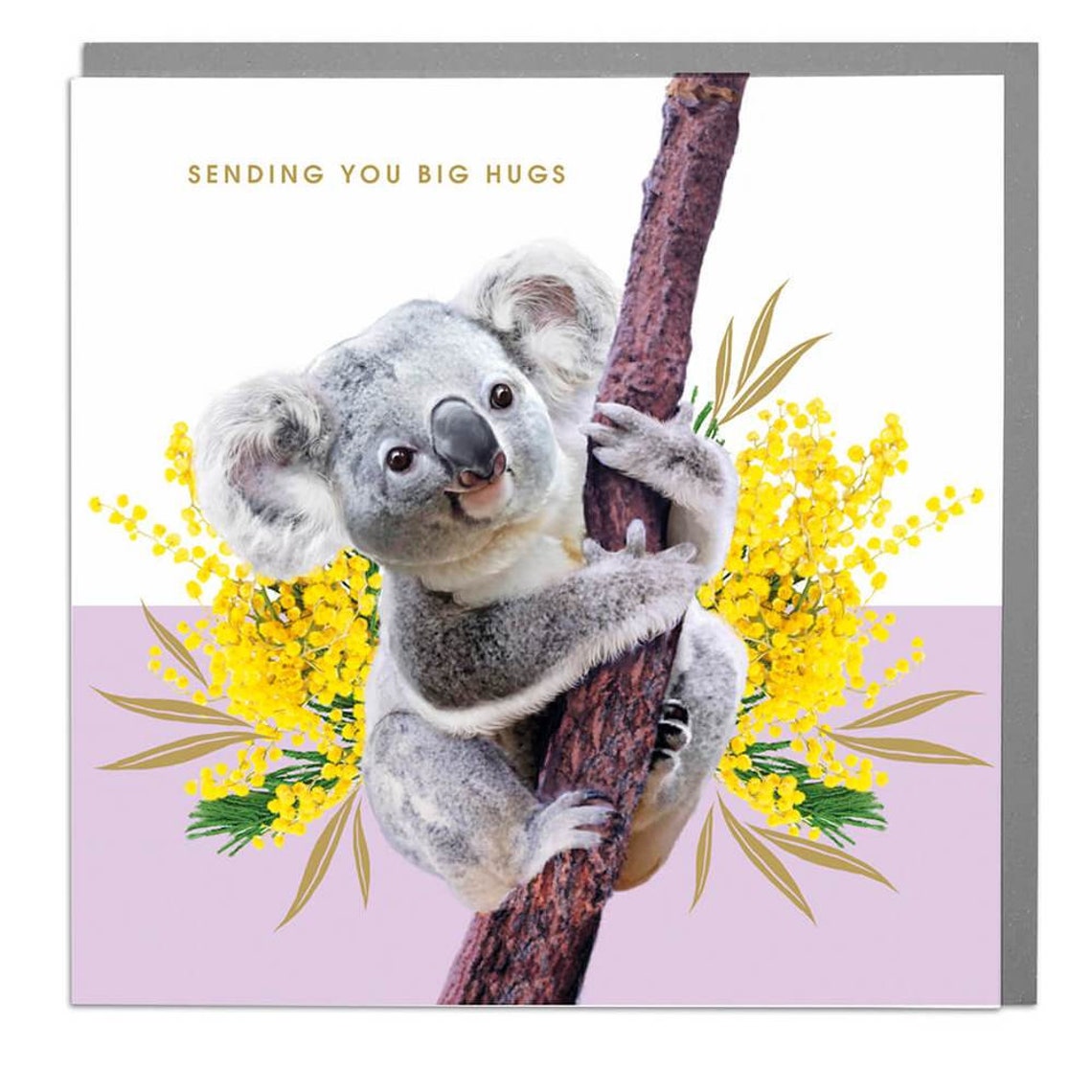 Koala Big Hugs Get Well Soon Card Yellow Wattle Floral Art Print