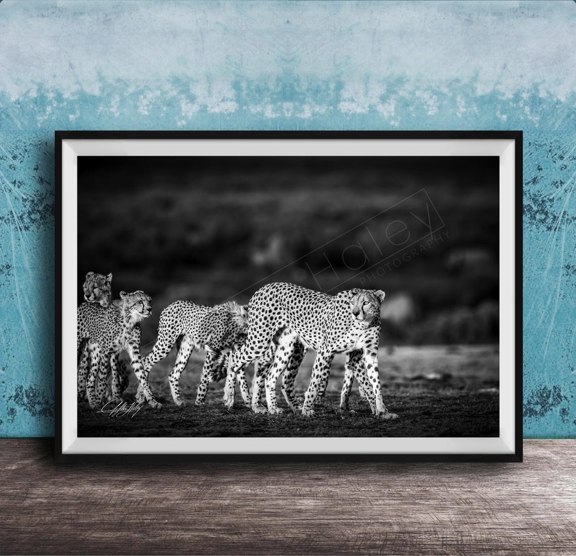 Maasai Cheetah Wall Art Bold Black And White Safari Print