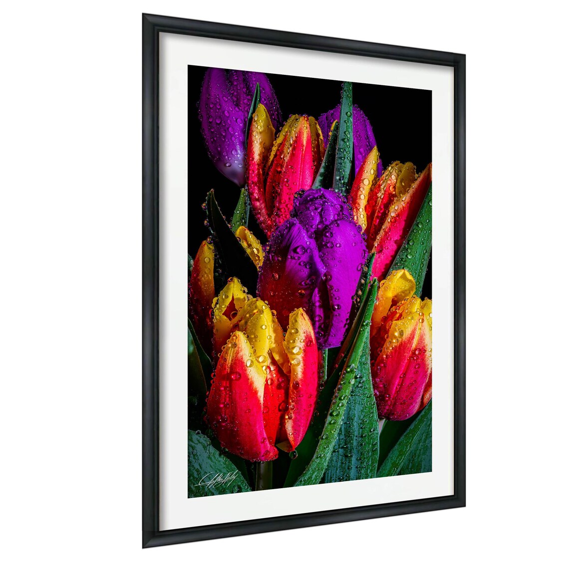 Tulip Wall Art Print, Vibrant Dewy Blooms