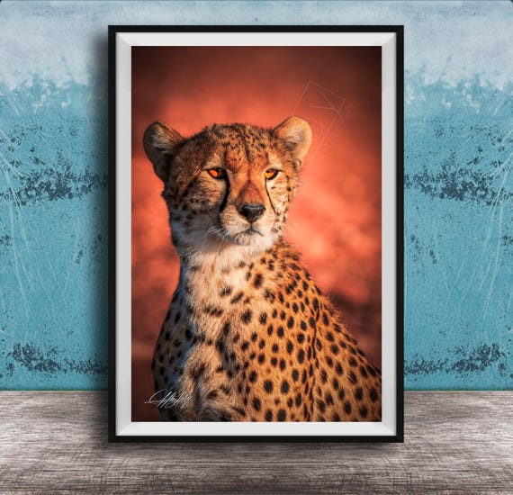 Maximalist Cheetah Art Print Bold Black White Safari Wall Decor