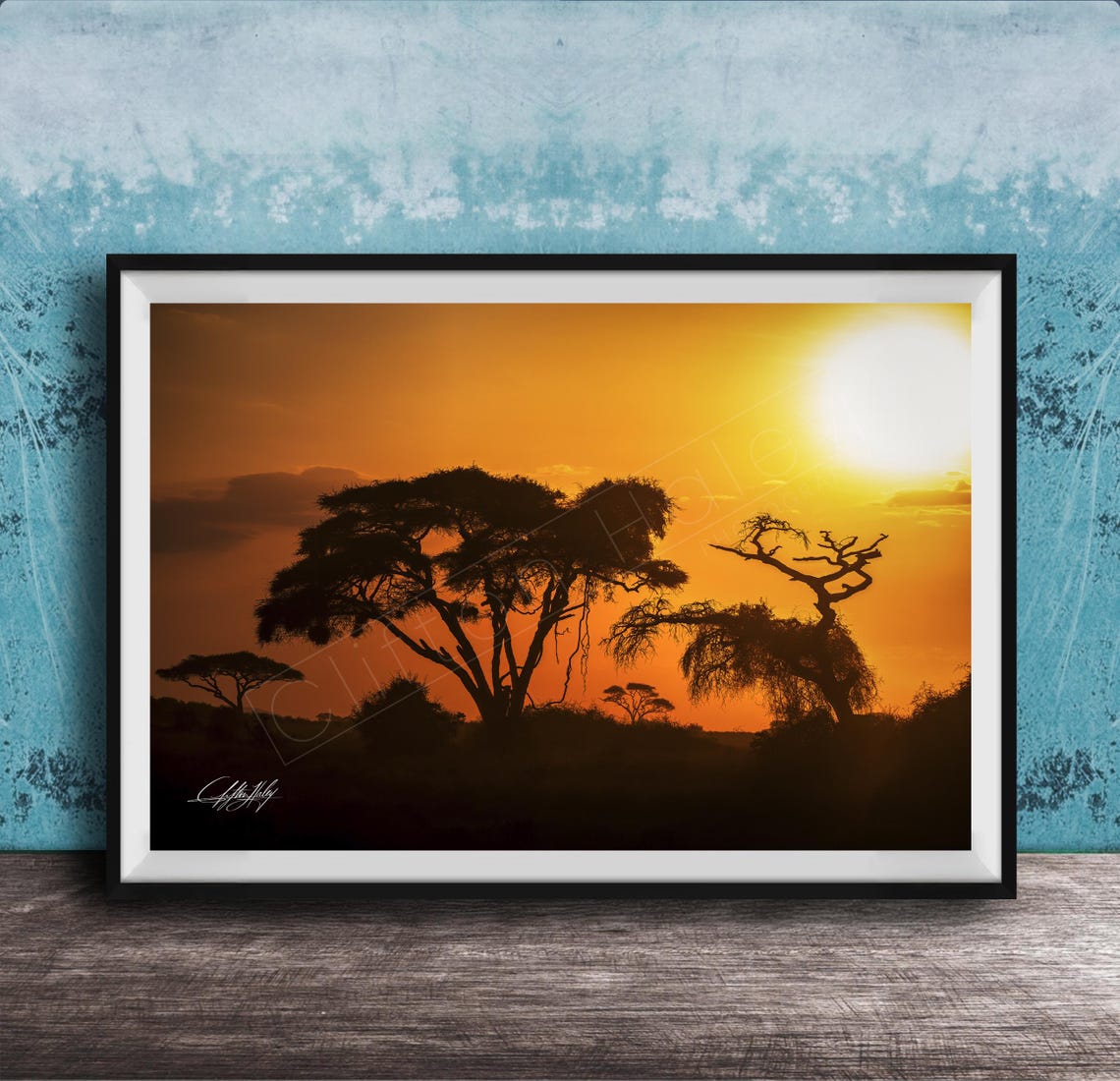 Acacia Trees At Golden African Sunset Silhouette Photo Poster