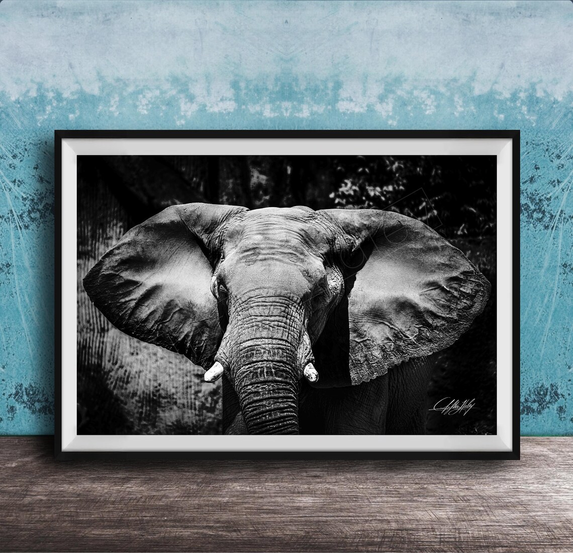 Sumatran Elephant Fine Art Print Black White Made To Order