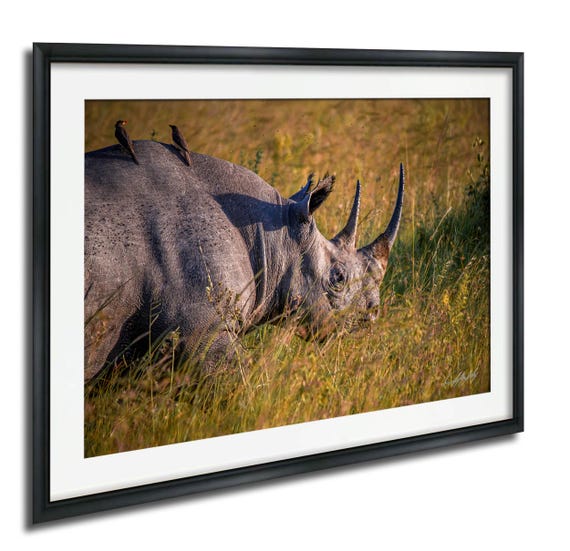 Rhino Safari Print Maasai Mara Wildlife Art Hand Signed