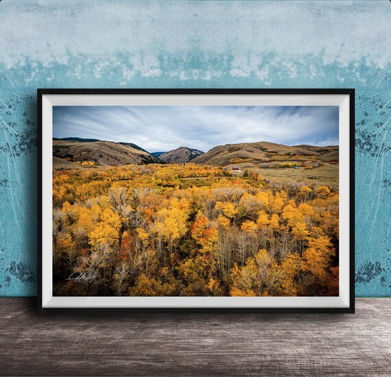 Golden Wyoming Autumn Valley Aerial Landscape Photo Art Poster