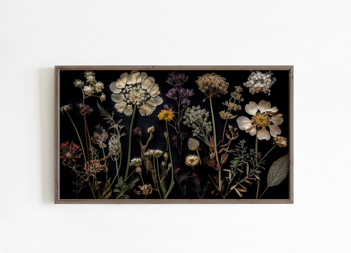 Dark Botanical Wildflowers Dried Pressed Black Background Poster