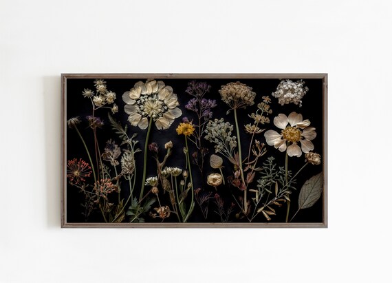 Dark Botanical Wildflowers Dried Pressed Black Background Poster