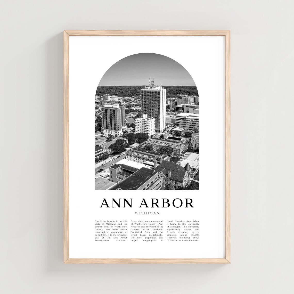 Ann Arbor Michigan Black and White Aerial Skyline Photo Poster
