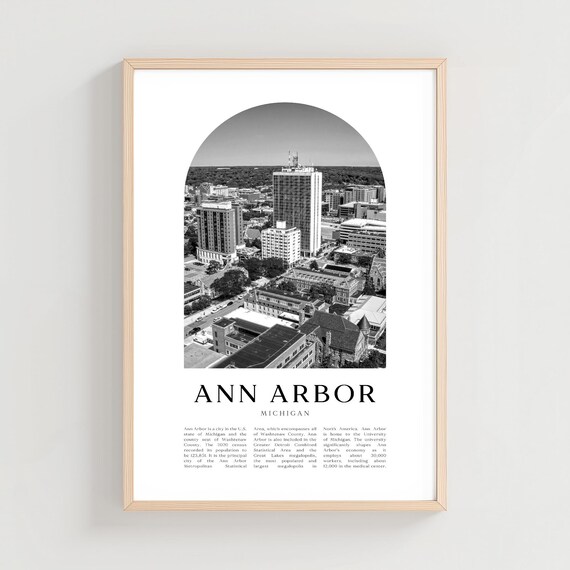 Ann Arbor Michigan Black and White Aerial Skyline Photo Poster