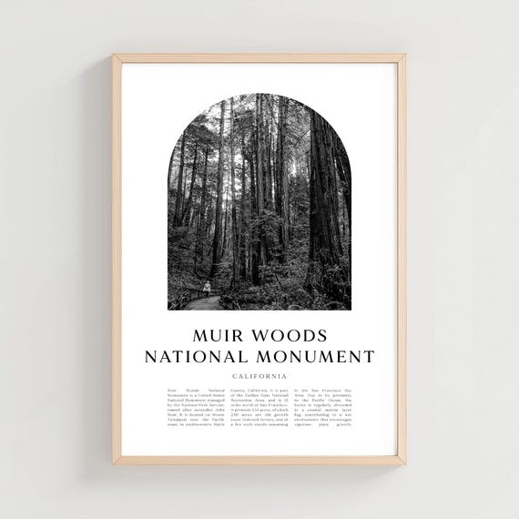 Muir Woods National Monument Travel Poster Print Wall Art City Artmuir Gift Na75m
