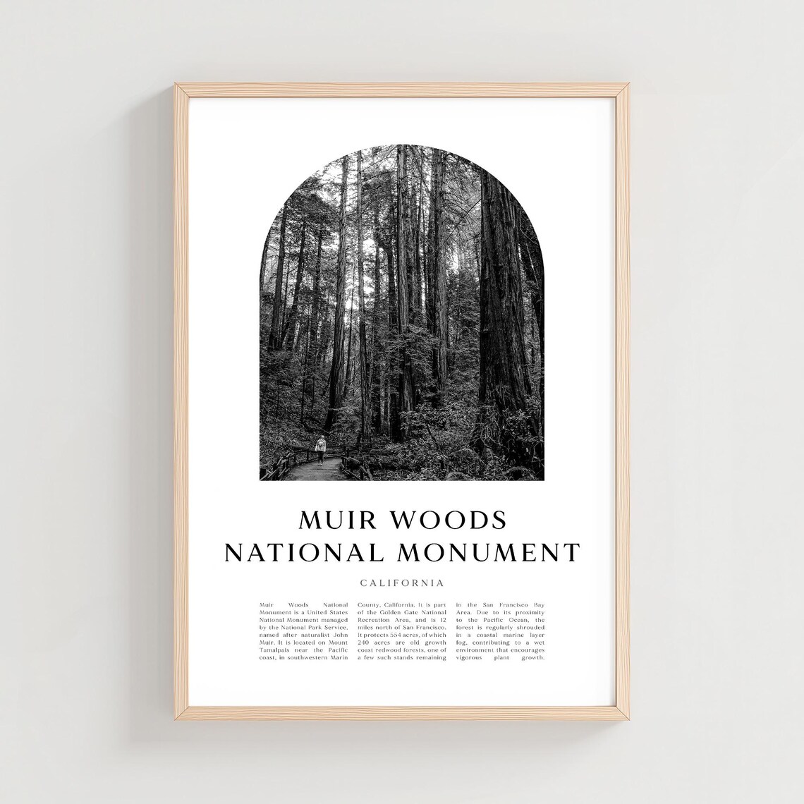 Muir Woods National Monument California Redwood Forest Photo Poster
