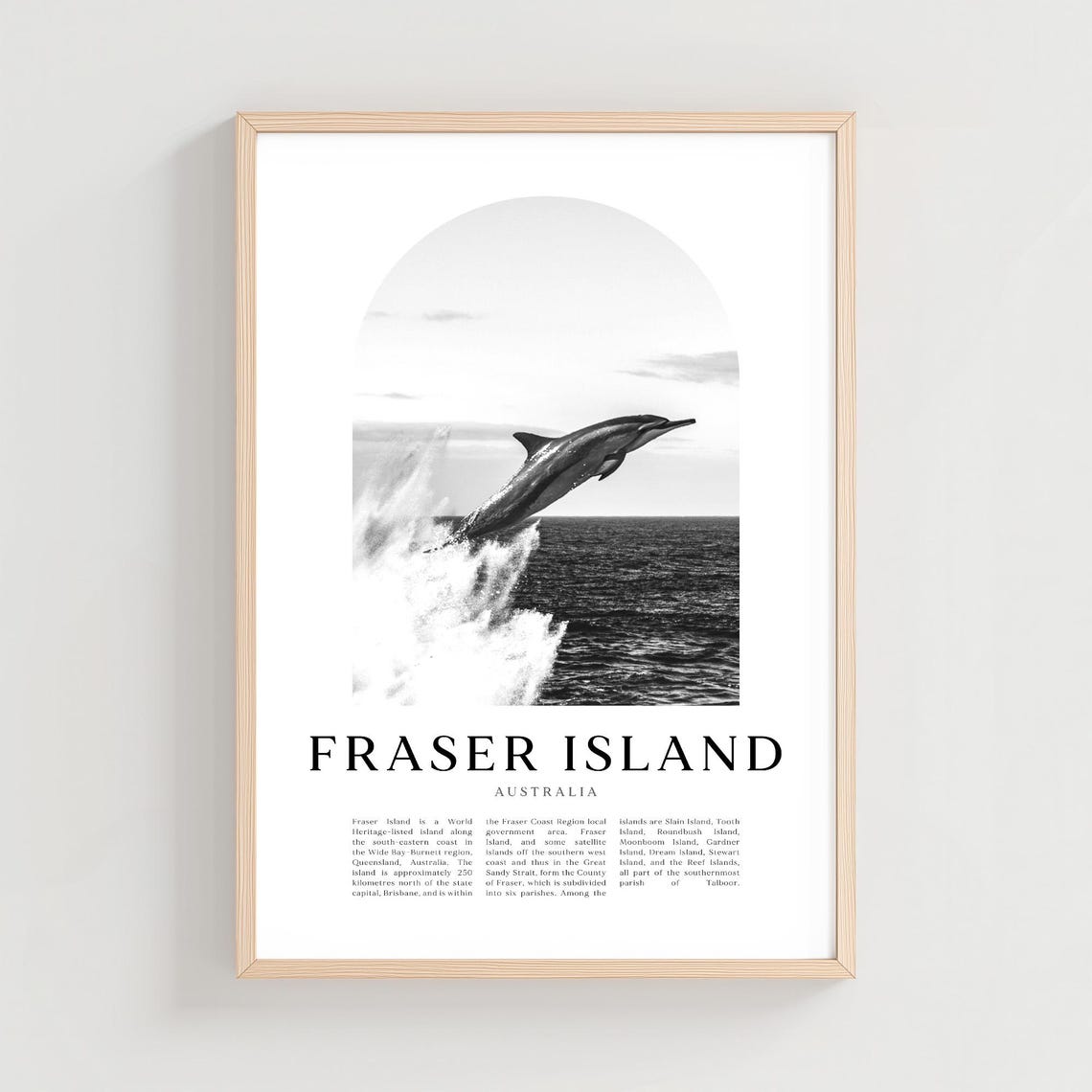 Fraser Island Australia Leaping Dolphin Monochrome Photo Poster