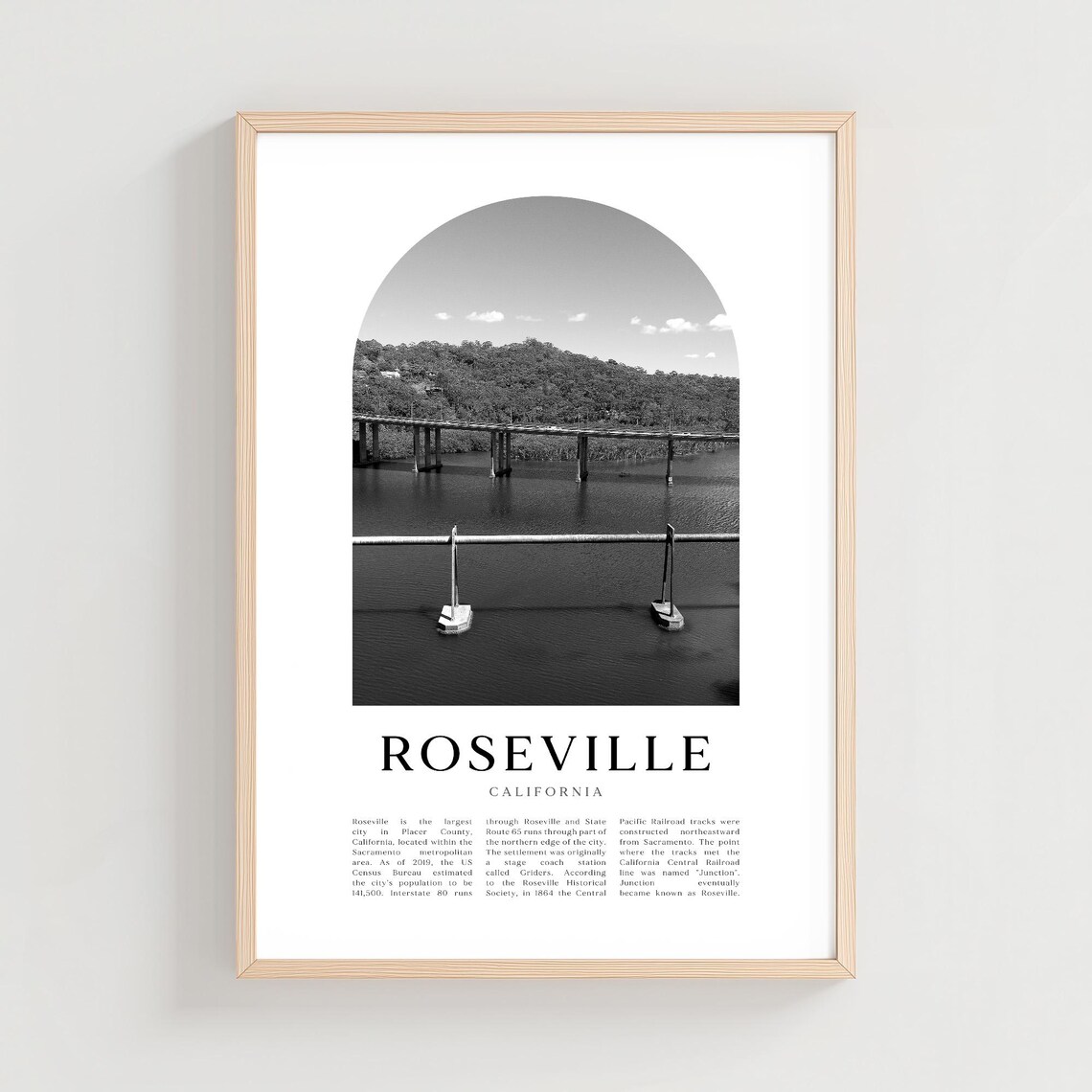 Roseville California River Bridge Black And White Photo Poster