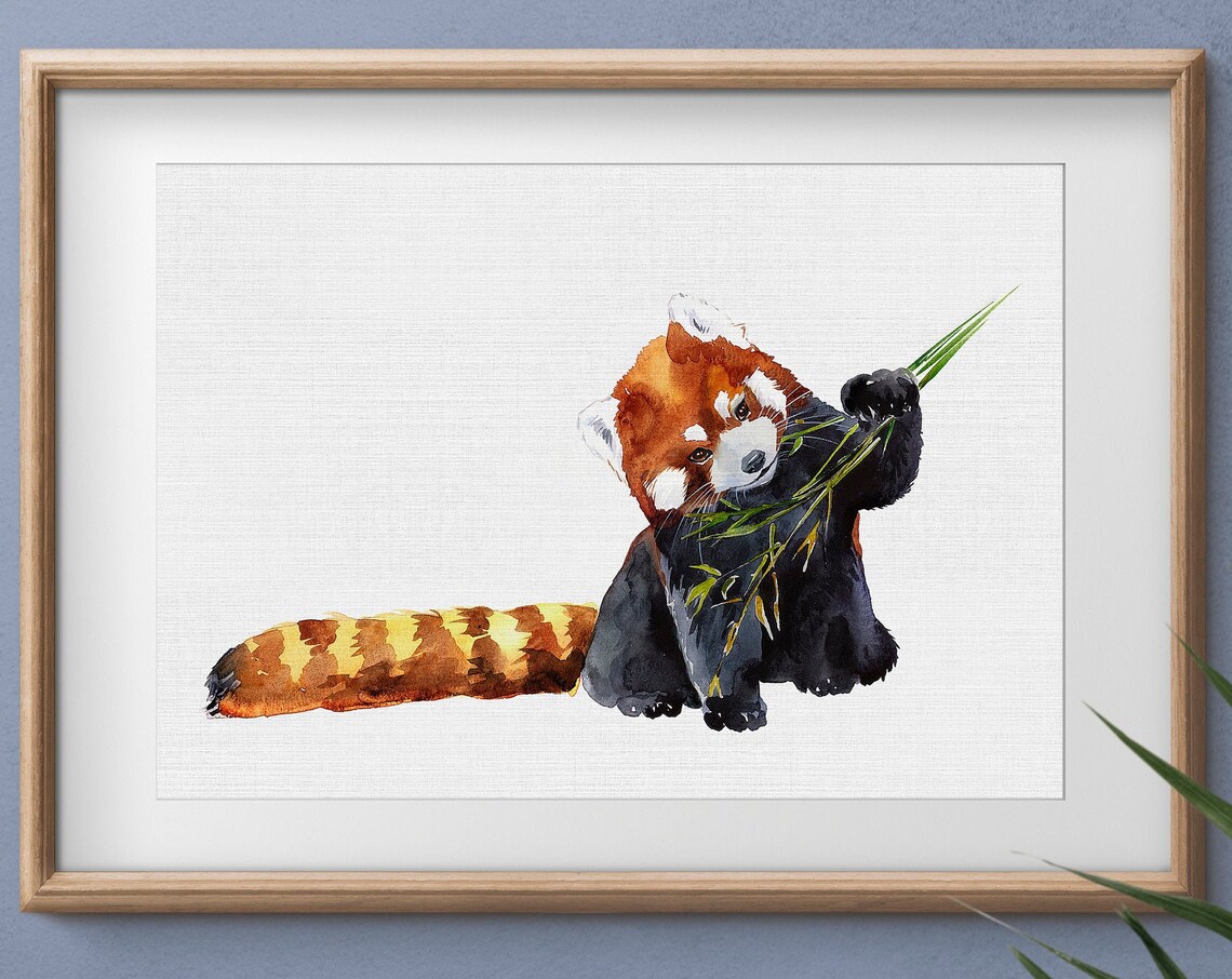 Red Panda Watercolor Art Print, Nursery Decor - Image 3