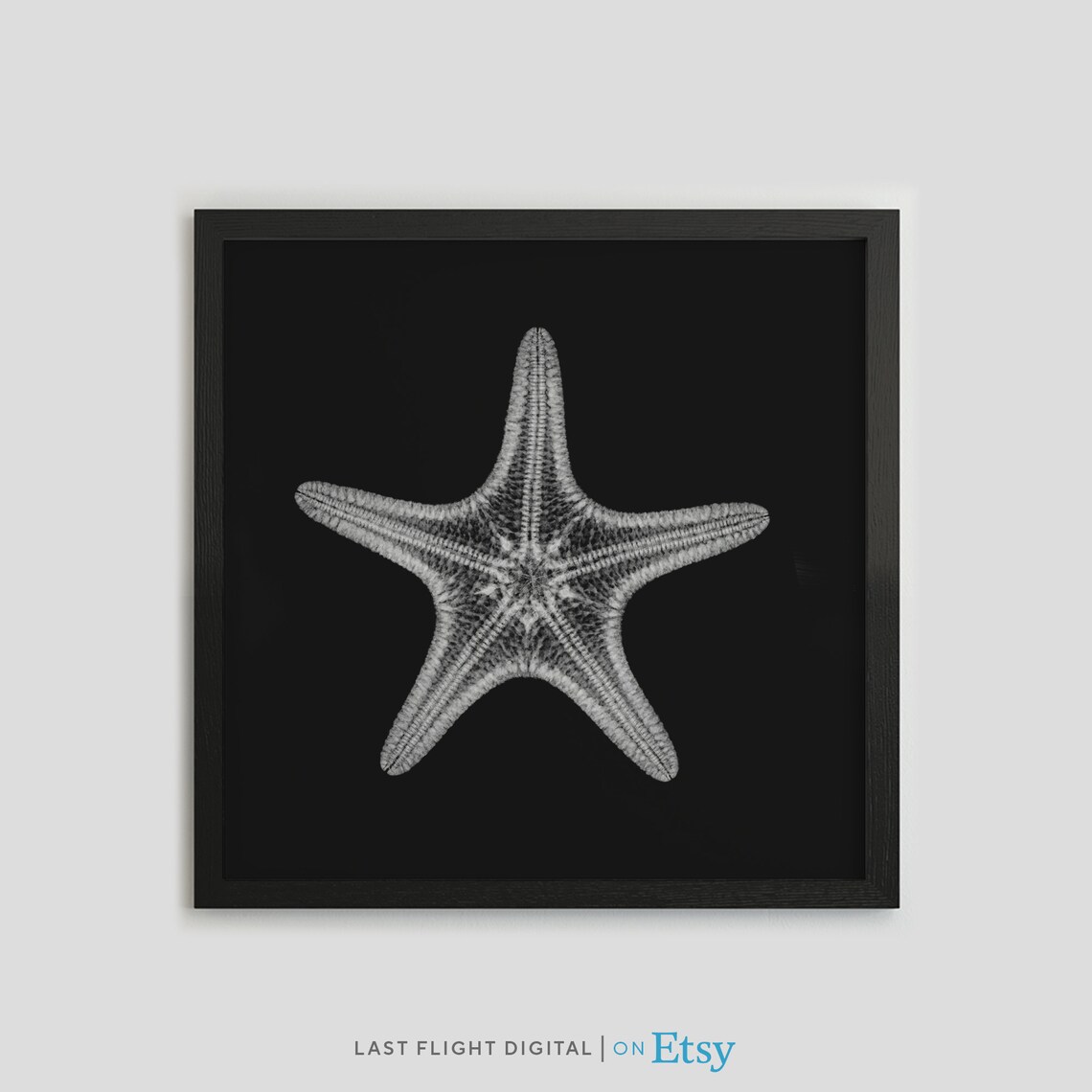 Starfish X-Ray Gothic Art Print, Black and White