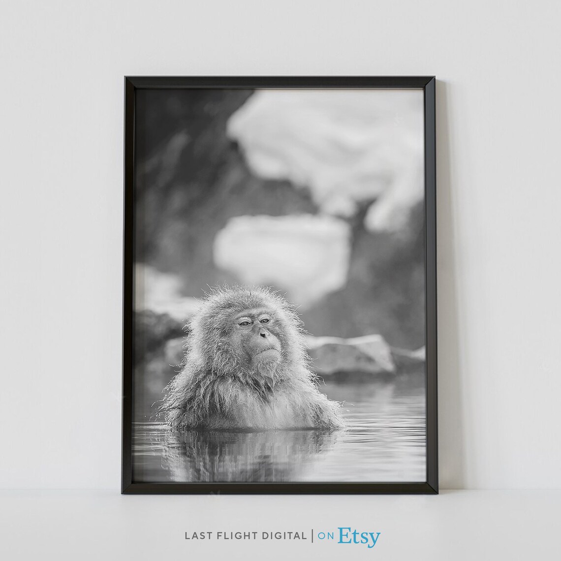 Japanese Snow Monkey Hot Spring Bath Black And White Photo Poster