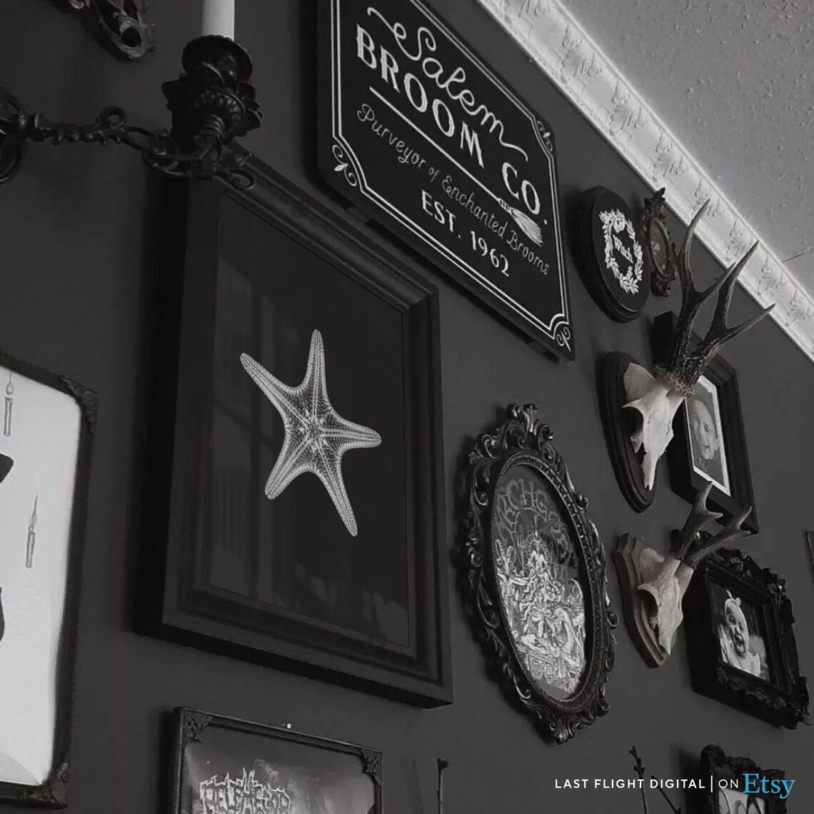 Starfish X-Ray Gothic Art Print, Black and White - Image 2