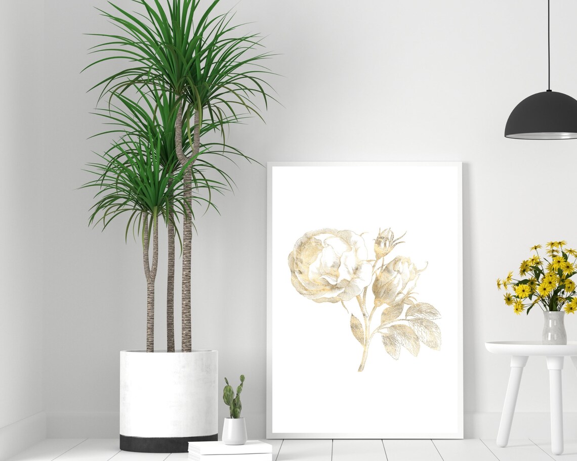Rose Art Print, Vintage Botanical Floral Poster - Image 2