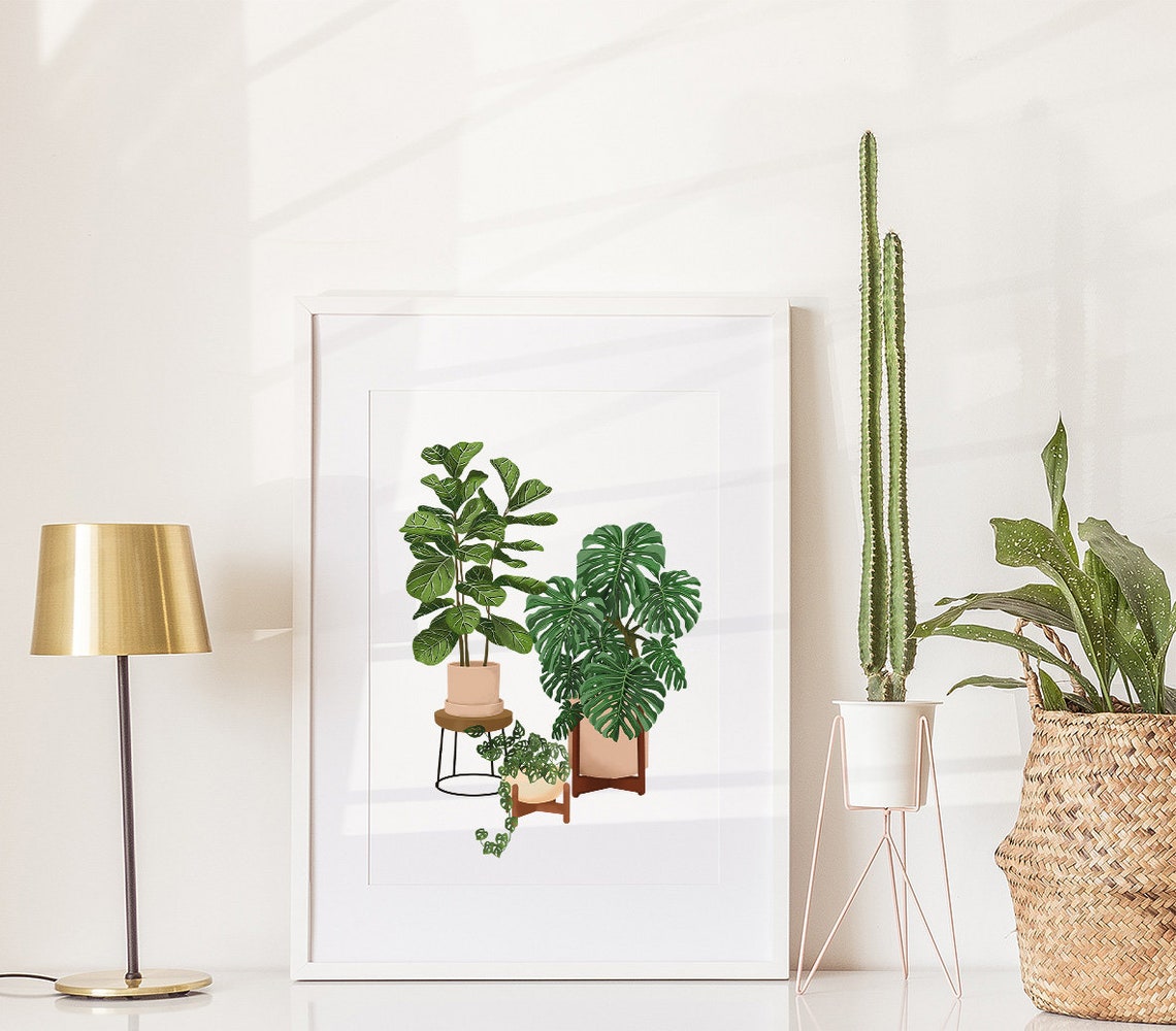 Monstera Deliciosa With Fiddle Leaf Fig Botanical Illustration Poster - Image 2