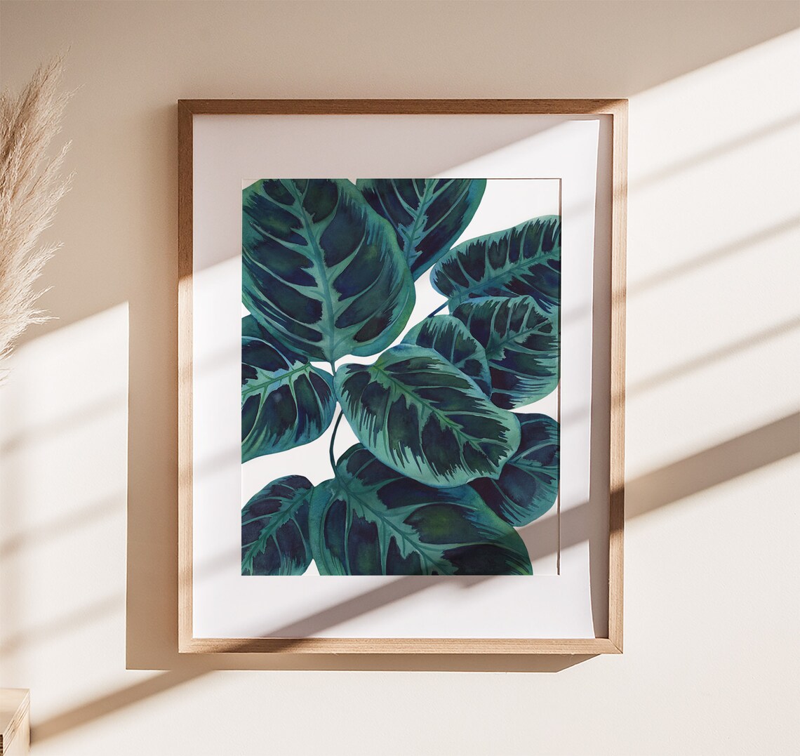 Calathea Makoyana Leaves Watercolor Botanical Illustration Art Poster