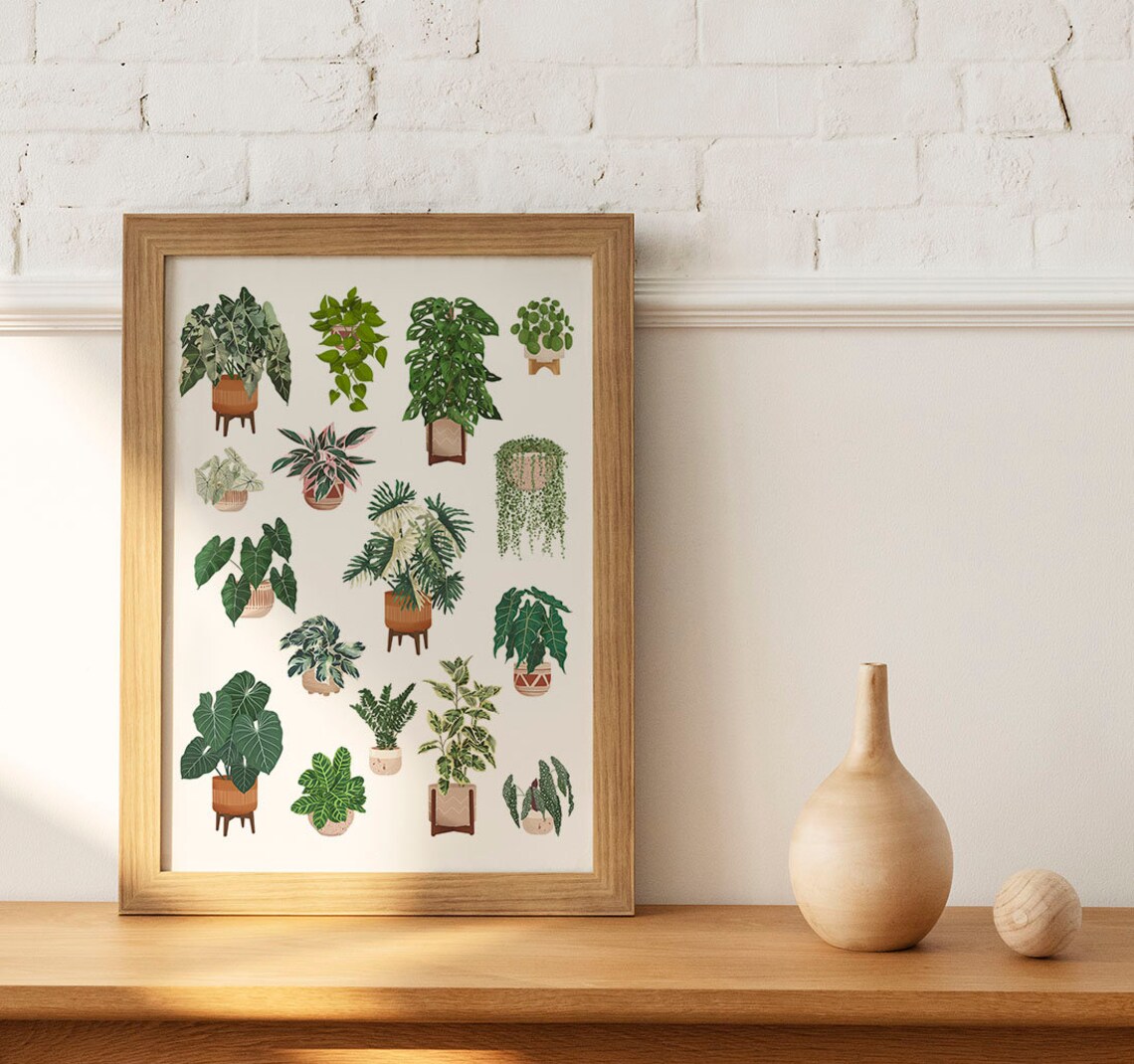 Sixteen Houseplants Grid Collector Botanical Illustration Art Print - Image 2