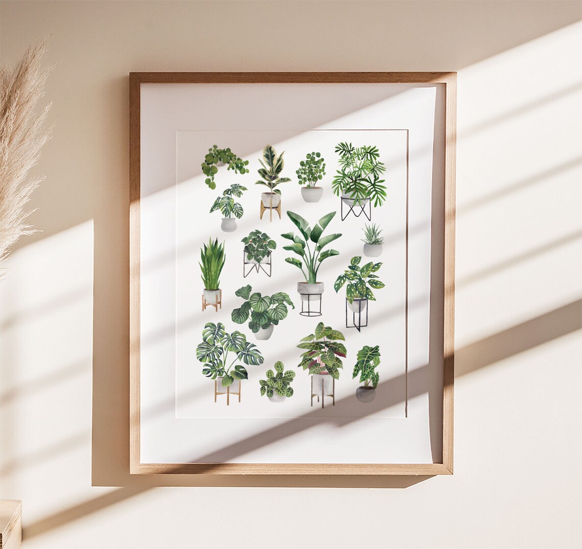 Fifteen Houseplants Grid Minimal Botanical Plant Lover Poster