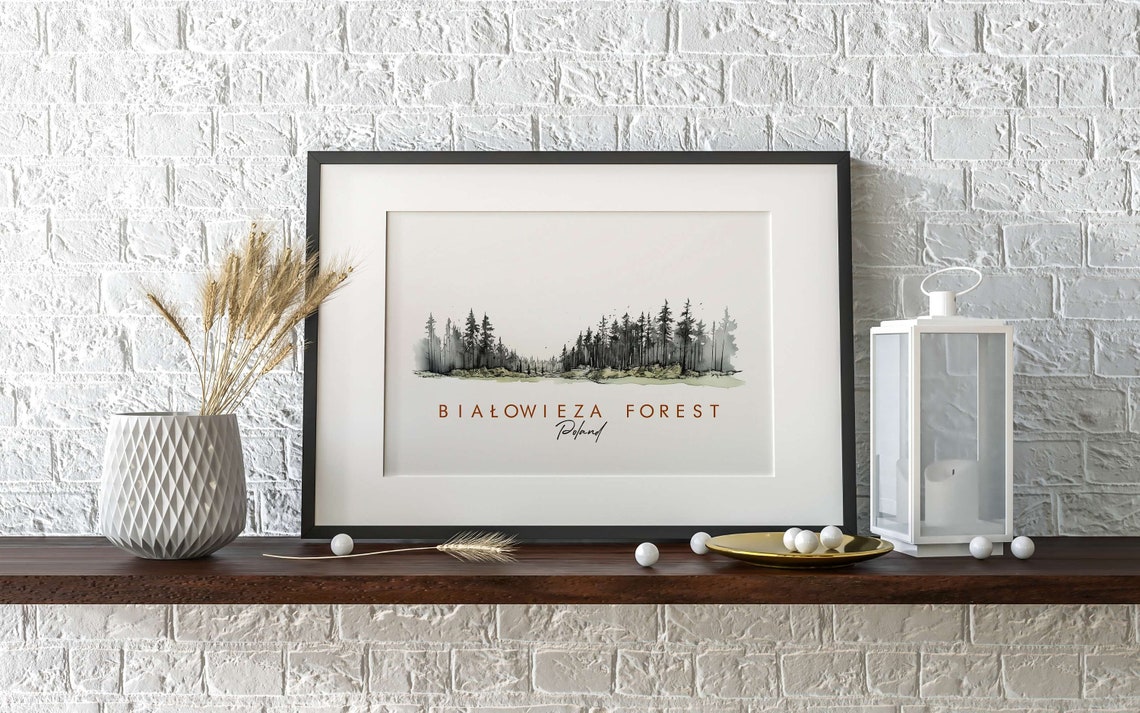 Bialowieza Forest Poland Pine Treeline Ink Watercolor Poster - Image 2
