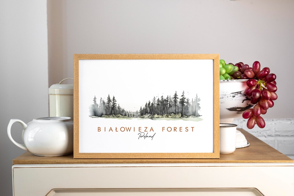 Bialowieza Forest Poland Pine Treeline Ink Watercolor Poster - Image 3