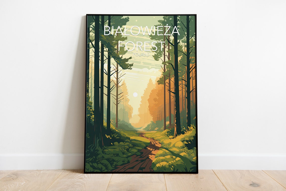 Bialowieza Forest Poland Sunlit Woodland Path Modern Travel Poster - Image 2