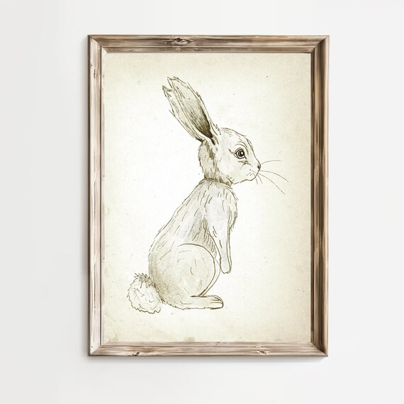 Rabbit Side Profile Antique Animal Sketch Nursery Art Poster