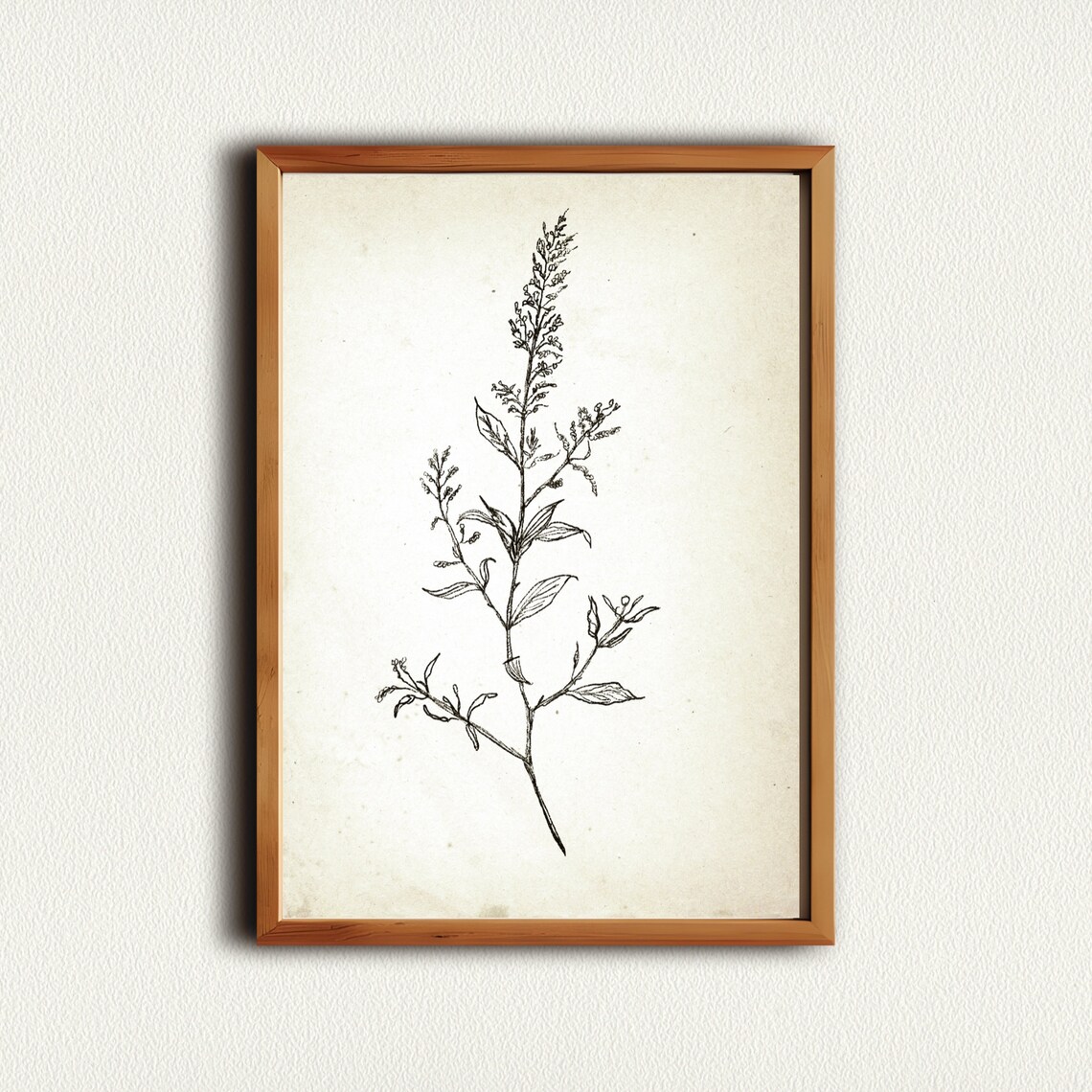 Vintage Wildflower Stem Botanical Sketch Neutral Farmhouse Line Print - Image 2