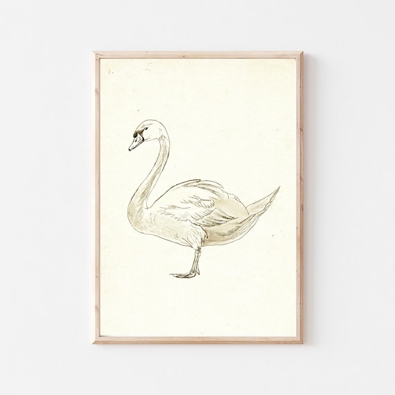 Elegant Swan Ink Sketch Antique Nursery Swan Profile Wall Art