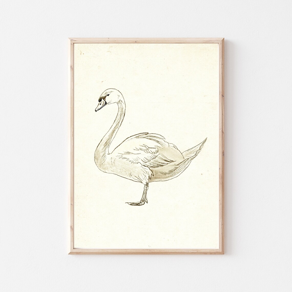 Elegant Swan Ink Sketch Antique Nursery Swan Profile Wall Art
