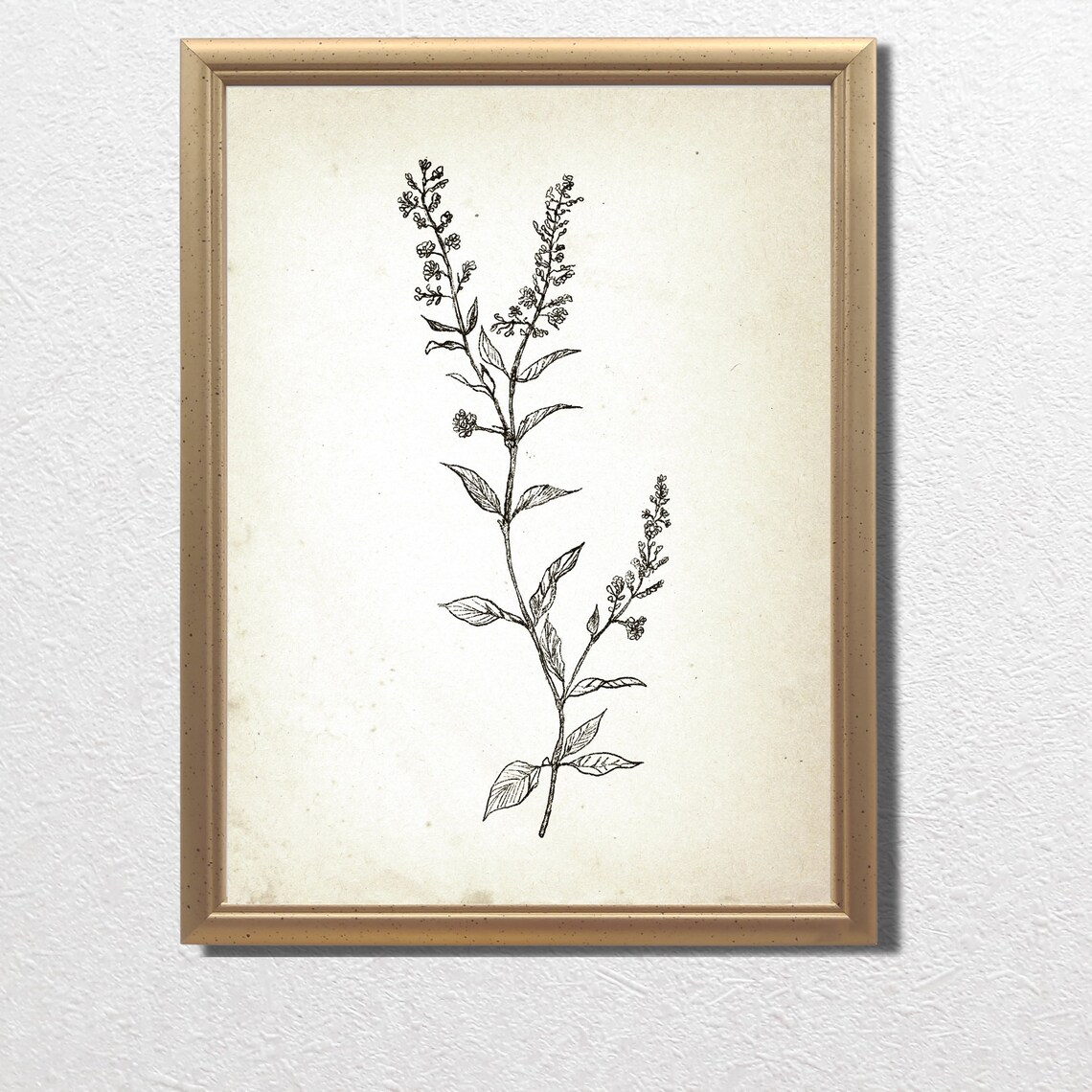 Vintage Botanical Ink Sketch Flowering Branch Farmhouse Print - Image 2