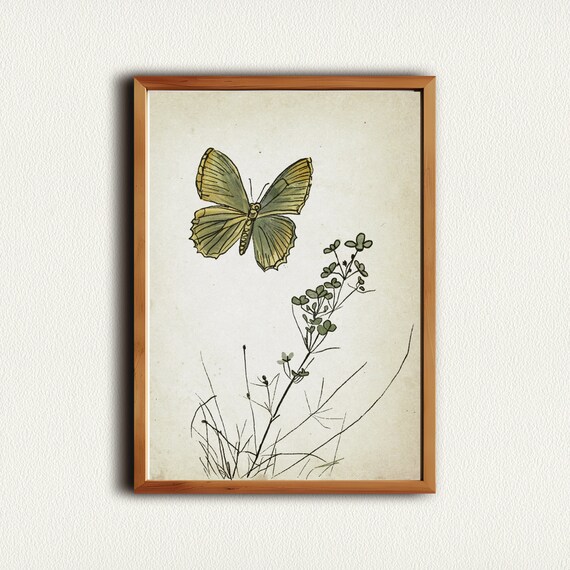 Green Butterfly with Blossom Antique Botanical Sketch Nursery Poster