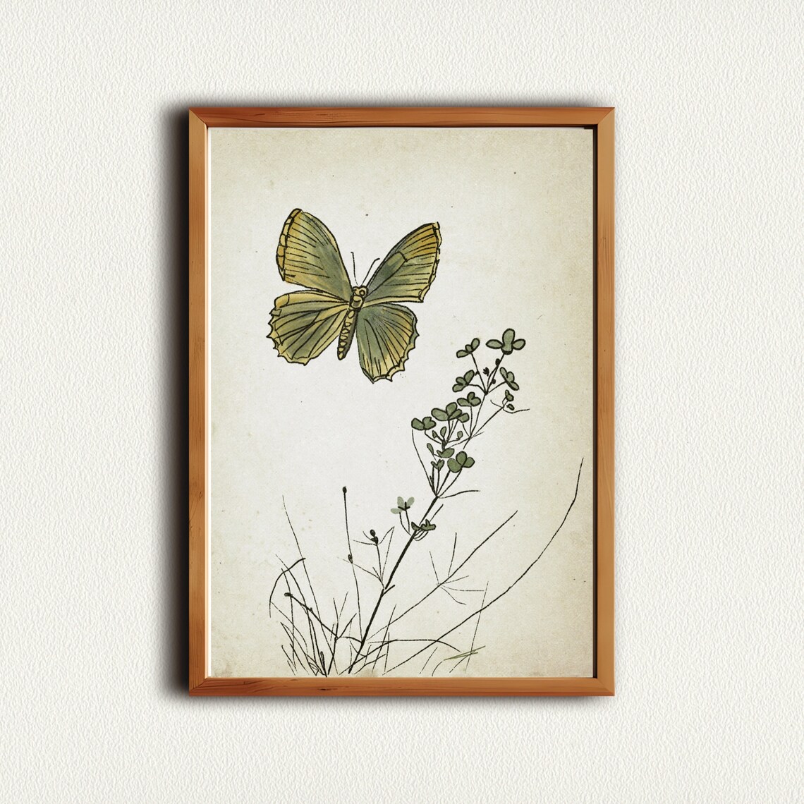 Green Butterfly with Blossom Antique Botanical Sketch Nursery Poster
