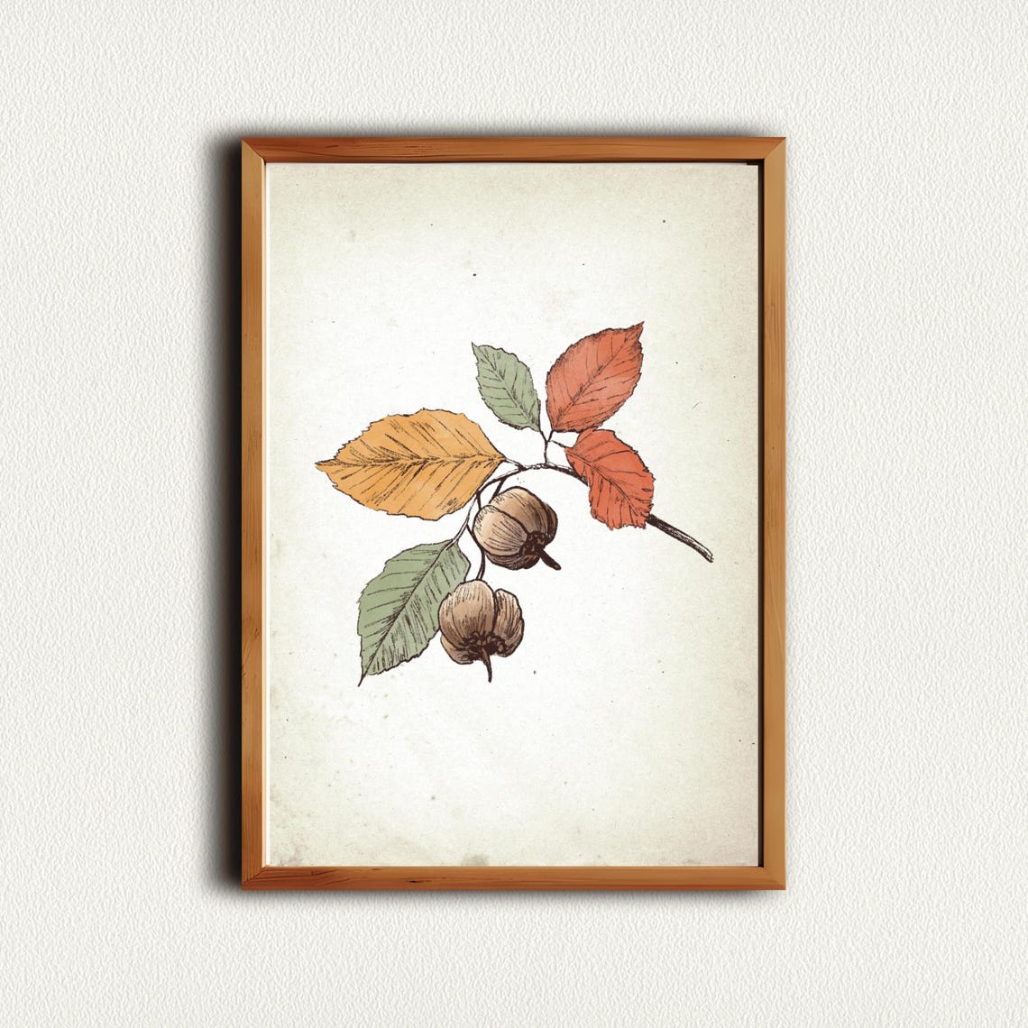 Vintage Chestnuts On Branch Botanical Sketch Autumn Wall Art - Image 4